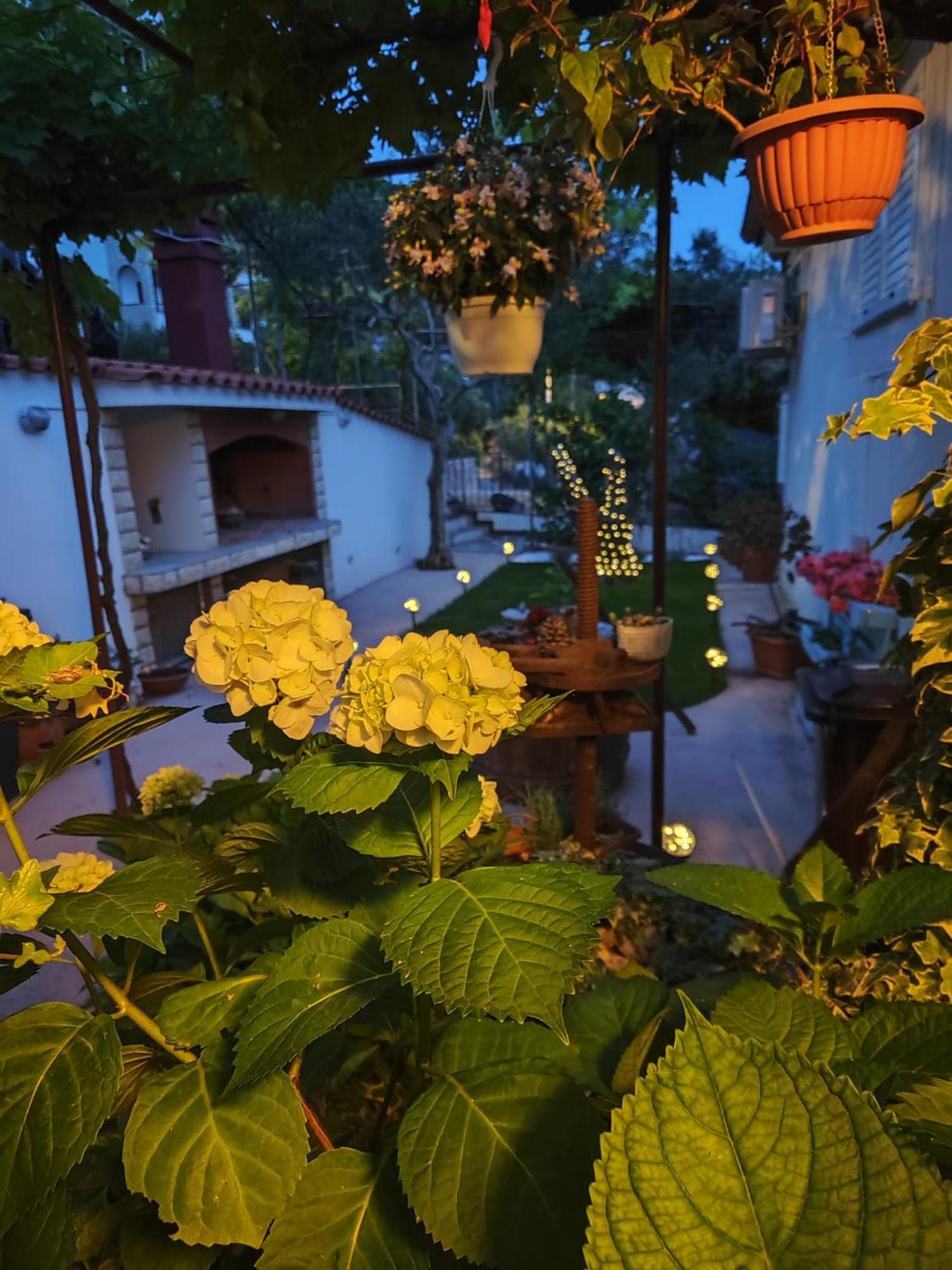 Apartmani Andela Kordic Supetarska Draga Exteriér fotografie
